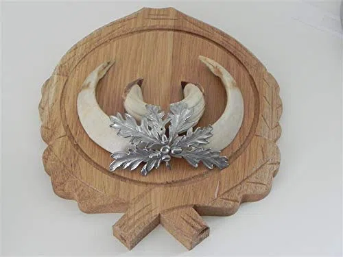GTK - Geweihe & Trophäen KRUMHOLZ 3 x EICHENLAUB DECKBLATT für KEILERWAFFEN 6-blättrig