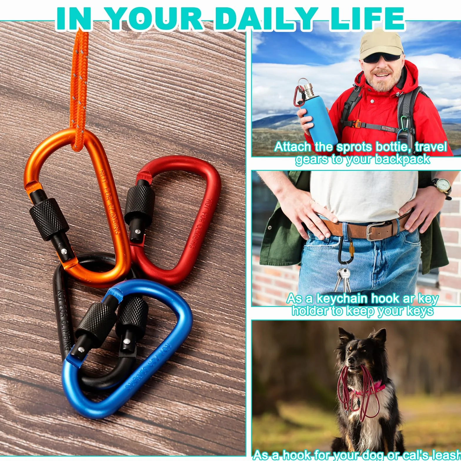 Moschettone in Alluminio 10 Pz, Carabiner a Forma di D con Tappo a Vite per Arrampicata Campeggio Pesca