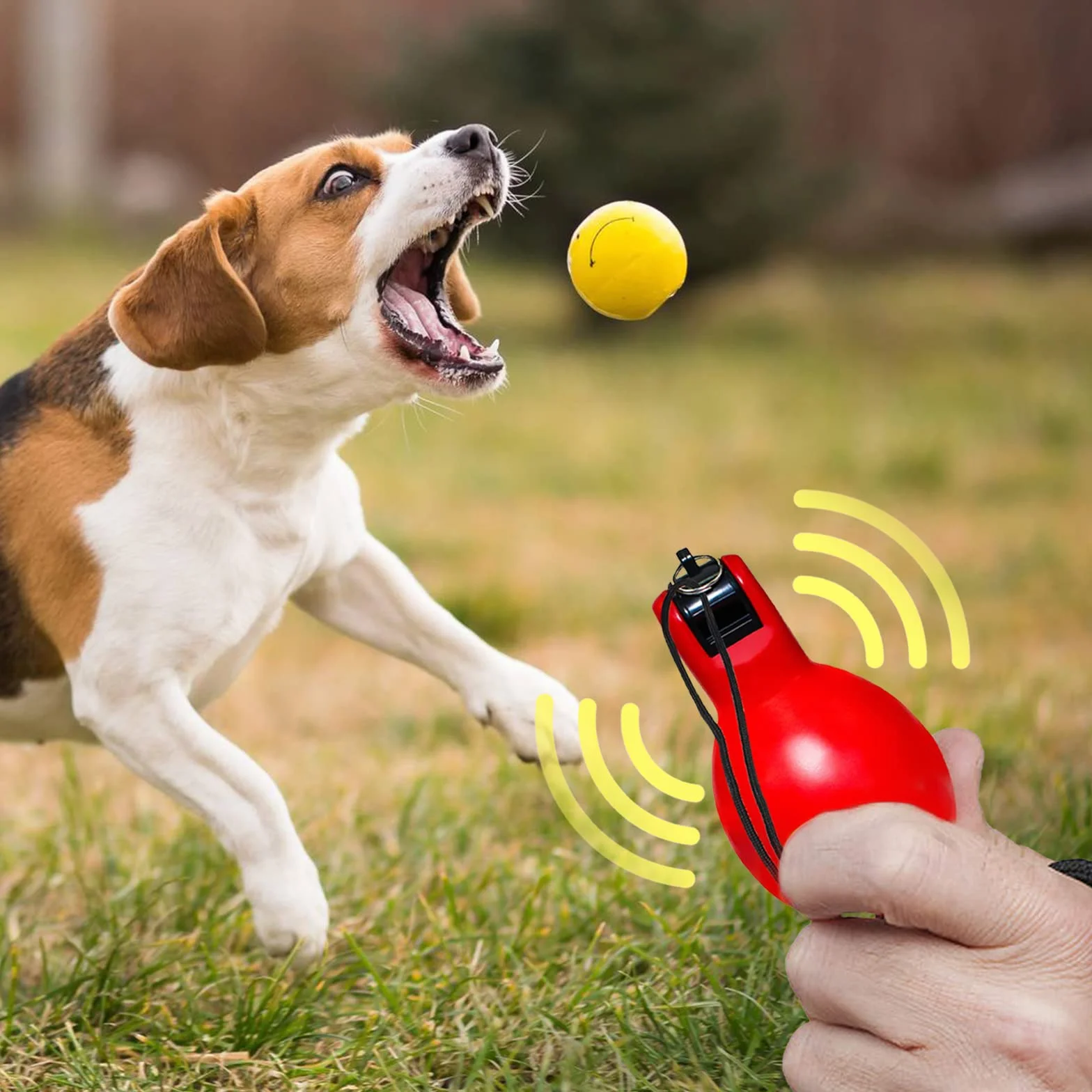 Ruikdly Fischietto Arbitro Fischio Allenatore Fischietto Emergenza con cordini Fischietti a Mano per Arbitro Sporting Fischietto per attività all'aperto Calcio, Pallacanestro, Regalo per Bambini