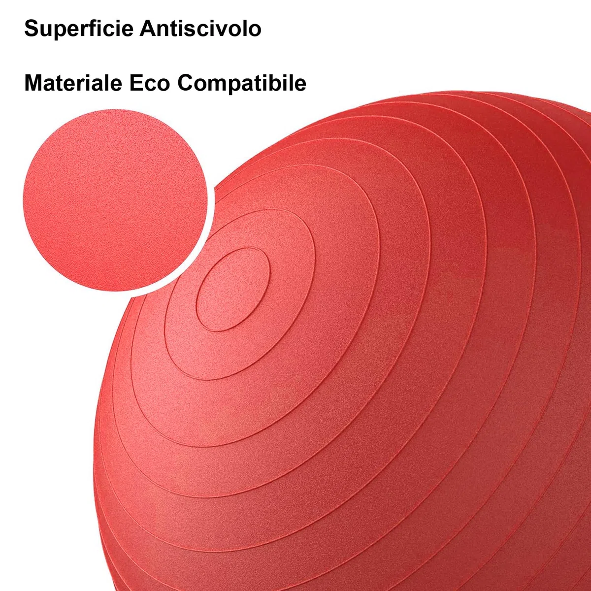 FP-TECH - Palla da Fitness, Palla Pilates Yoga Anti-Scoppio 55cm/65cm/75cm/85cm Palla da Ginnastica con Pompa Rapida inclusa per Fitness Yoga Pilates e Ufficio 6 Colori